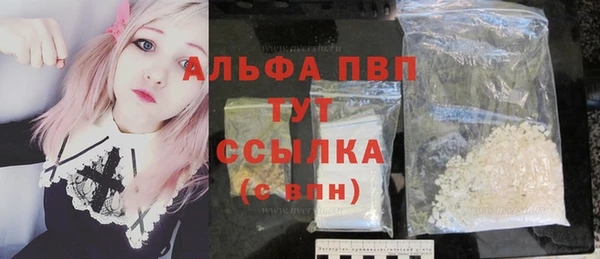 тгк Бородино