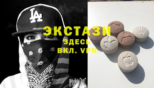 тгк Бородино