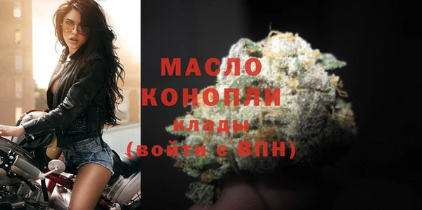 тгк Бородино