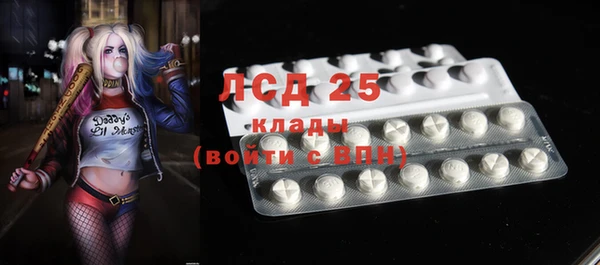 прущие грибы Бронницы