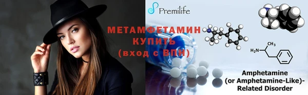 прущие грибы Бронницы
