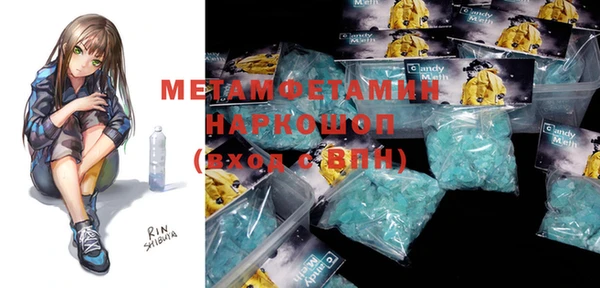 прущие грибы Бронницы