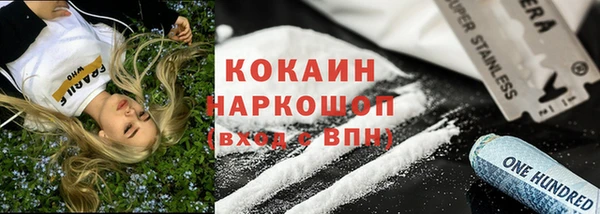 тгк Бородино