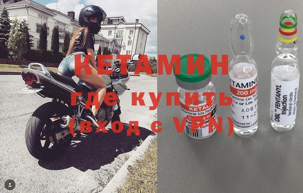 прущие грибы Бронницы