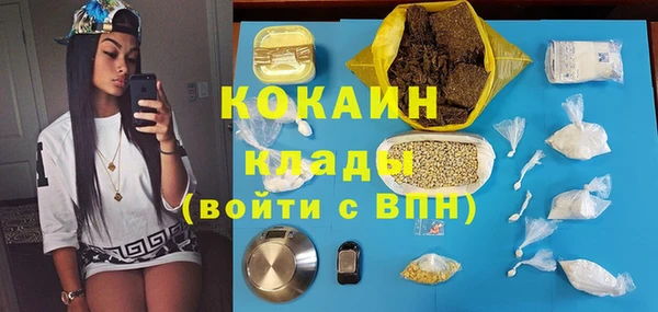 прущие грибы Бронницы