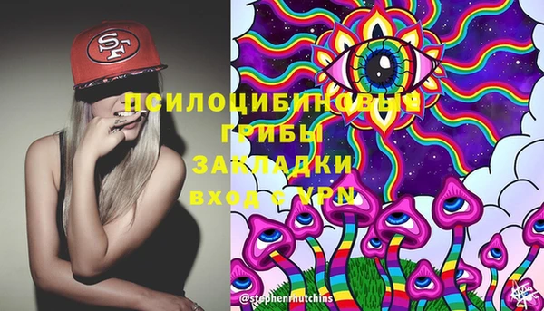 прущие грибы Бронницы