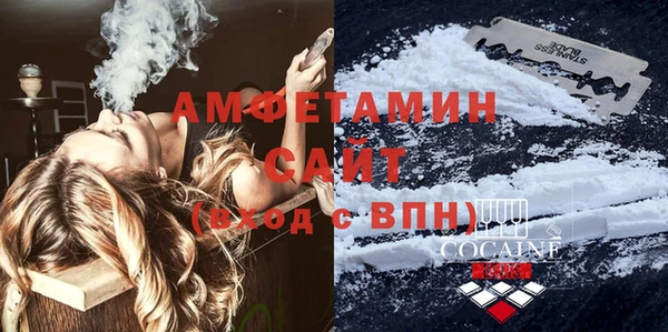 прущие грибы Бронницы