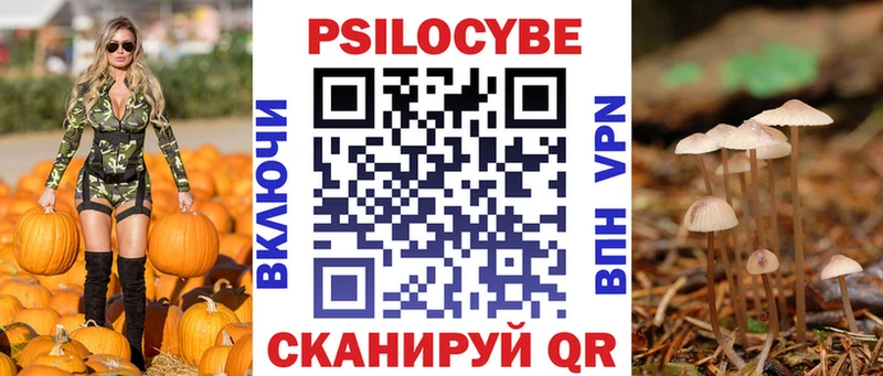 Псилоцибиновые грибы прущие грибы  Купить закладки  Петровск-Забайкальский 